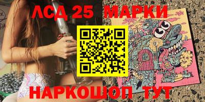 гидра Будённовск