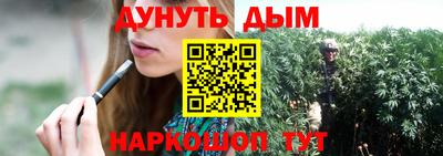 гидра Будённовск