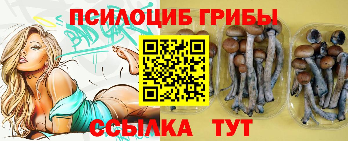 Галлюциногенные грибы мухоморы Нижневартовск