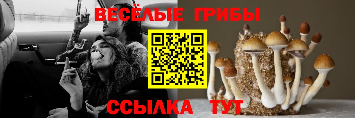 Нижневартовск  Псилоцибиновые грибы Psilocybe  Псилоцибиновые грибы ЛСД  Вход с VPN 